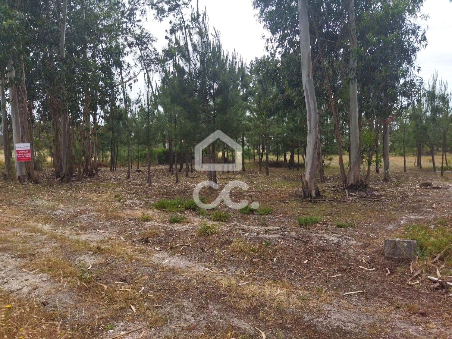  te koop terrein Marinha Grande Marinha Grande 2