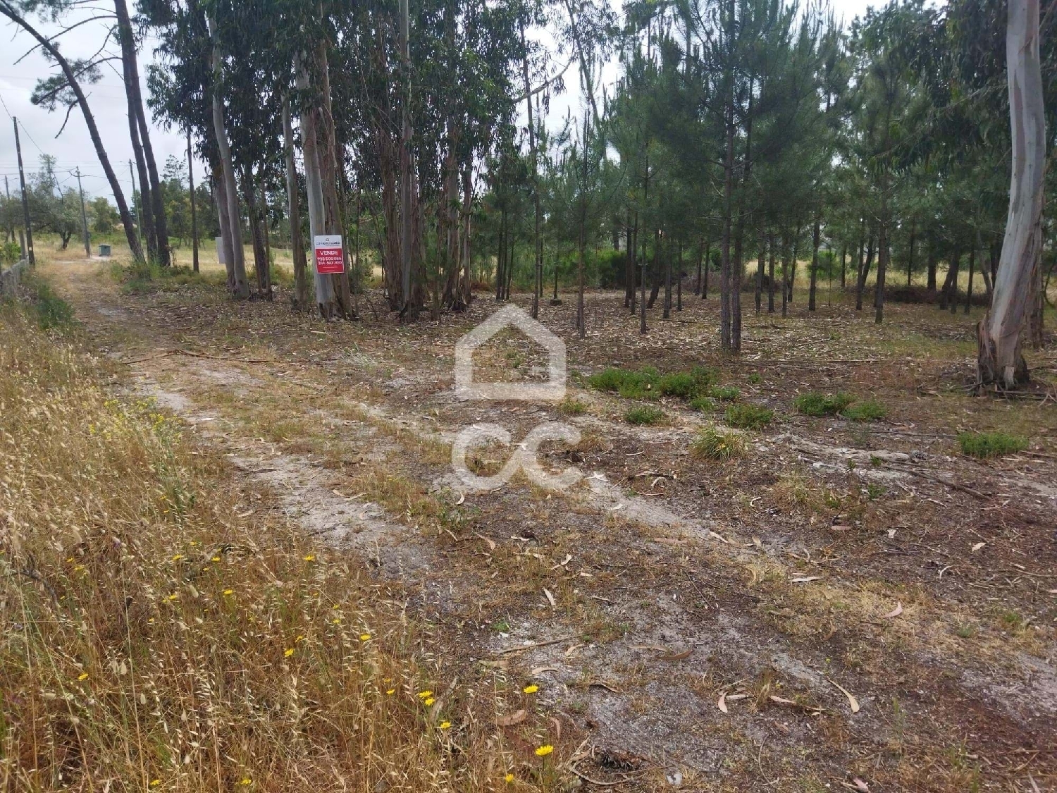  te koop terrein Marinha Grande Marinha Grande 4