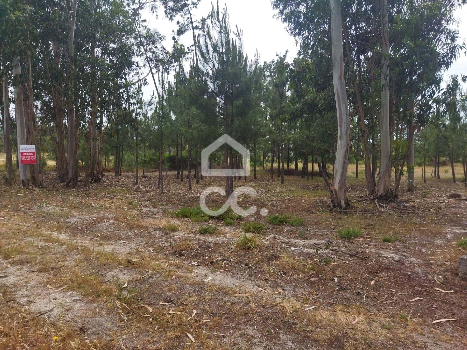  te koop terrein Marinha Grande Marinha Grande 5