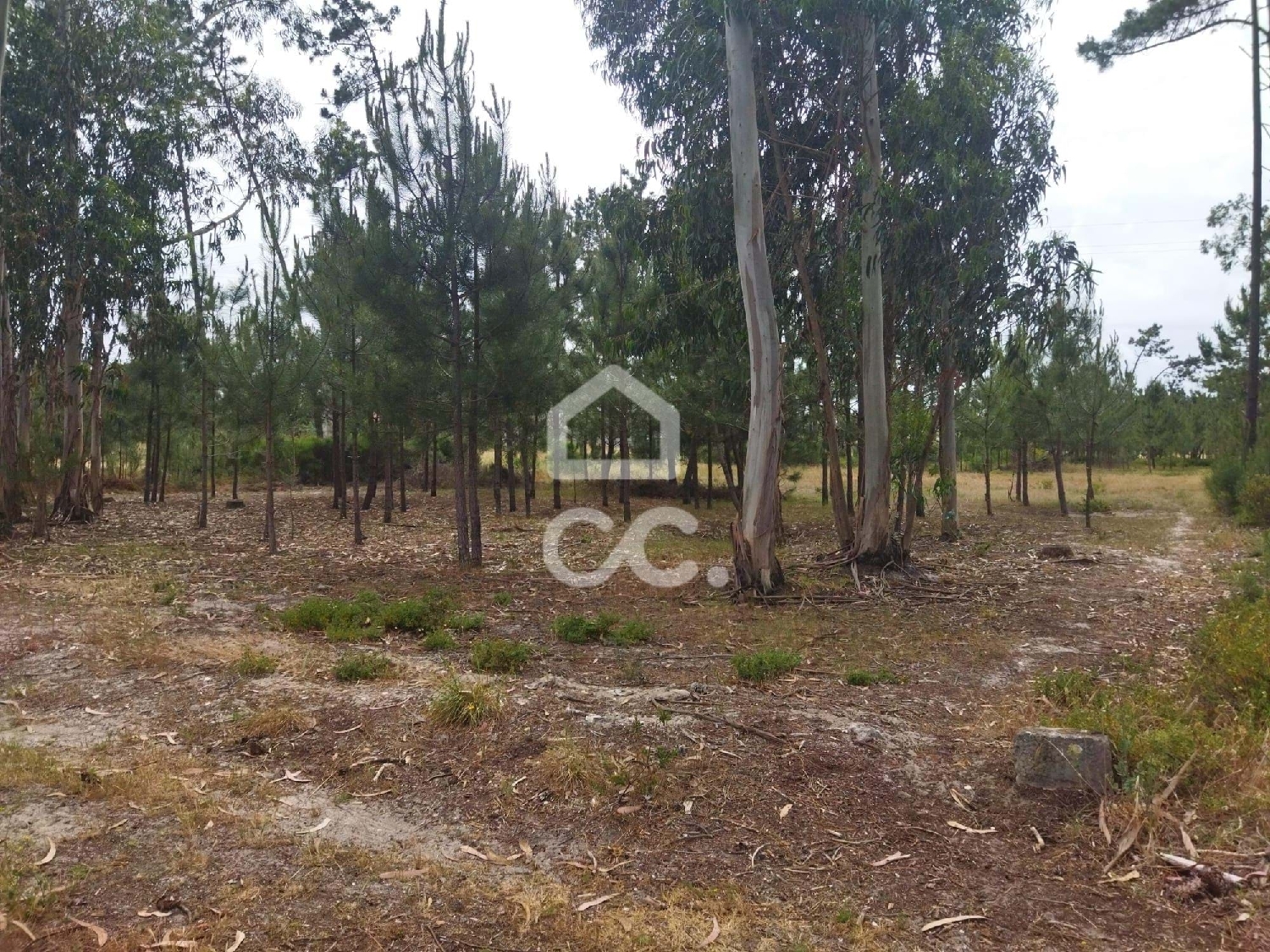  te koop terrein Marinha Grande Marinha Grande 7