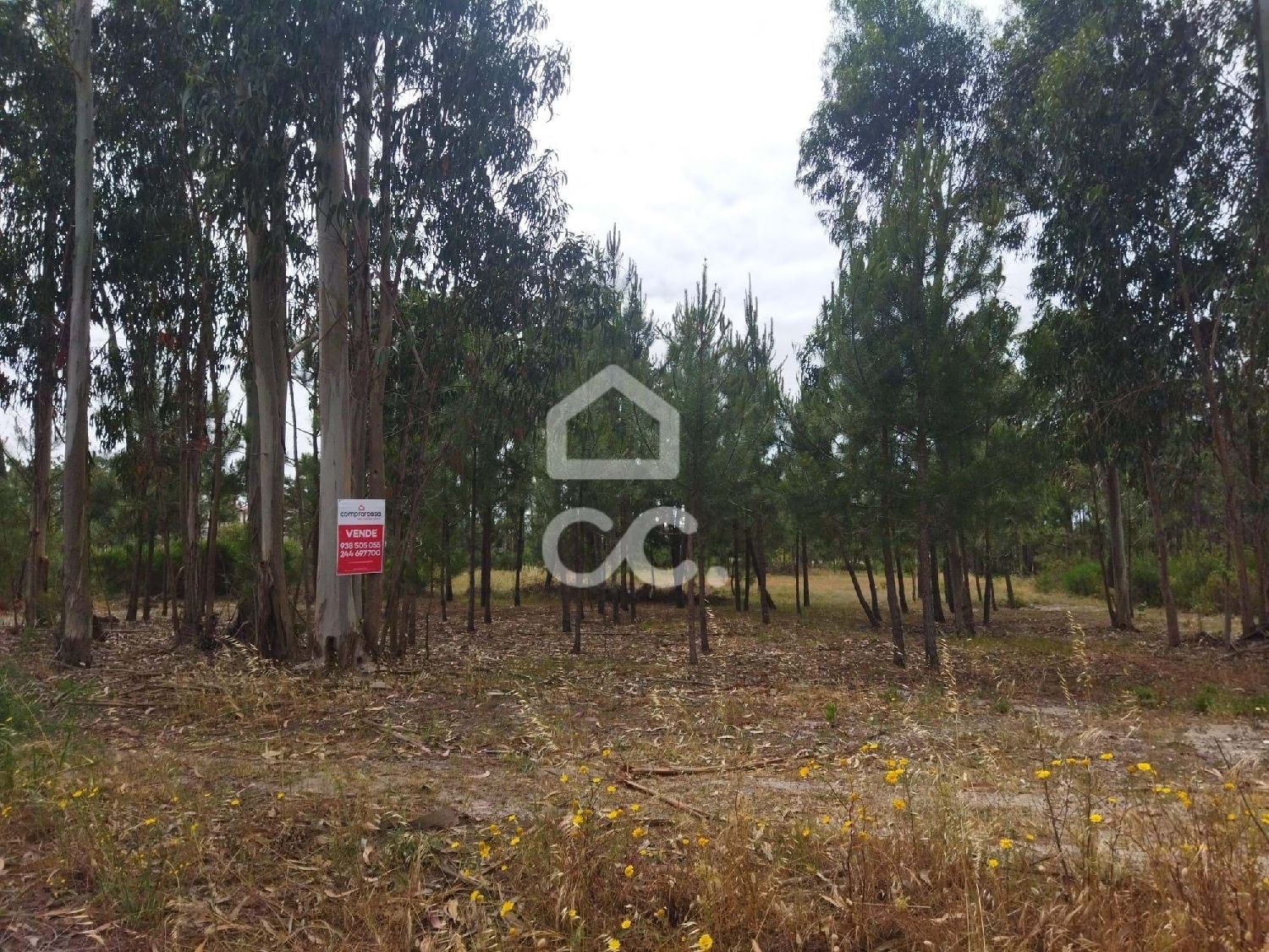  te koop terrein Marinha Grande Marinha Grande 8