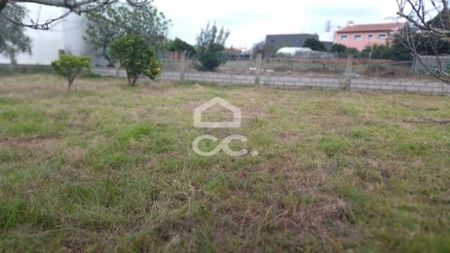 Marinha Grande Marinha Grande terrein foto 330702