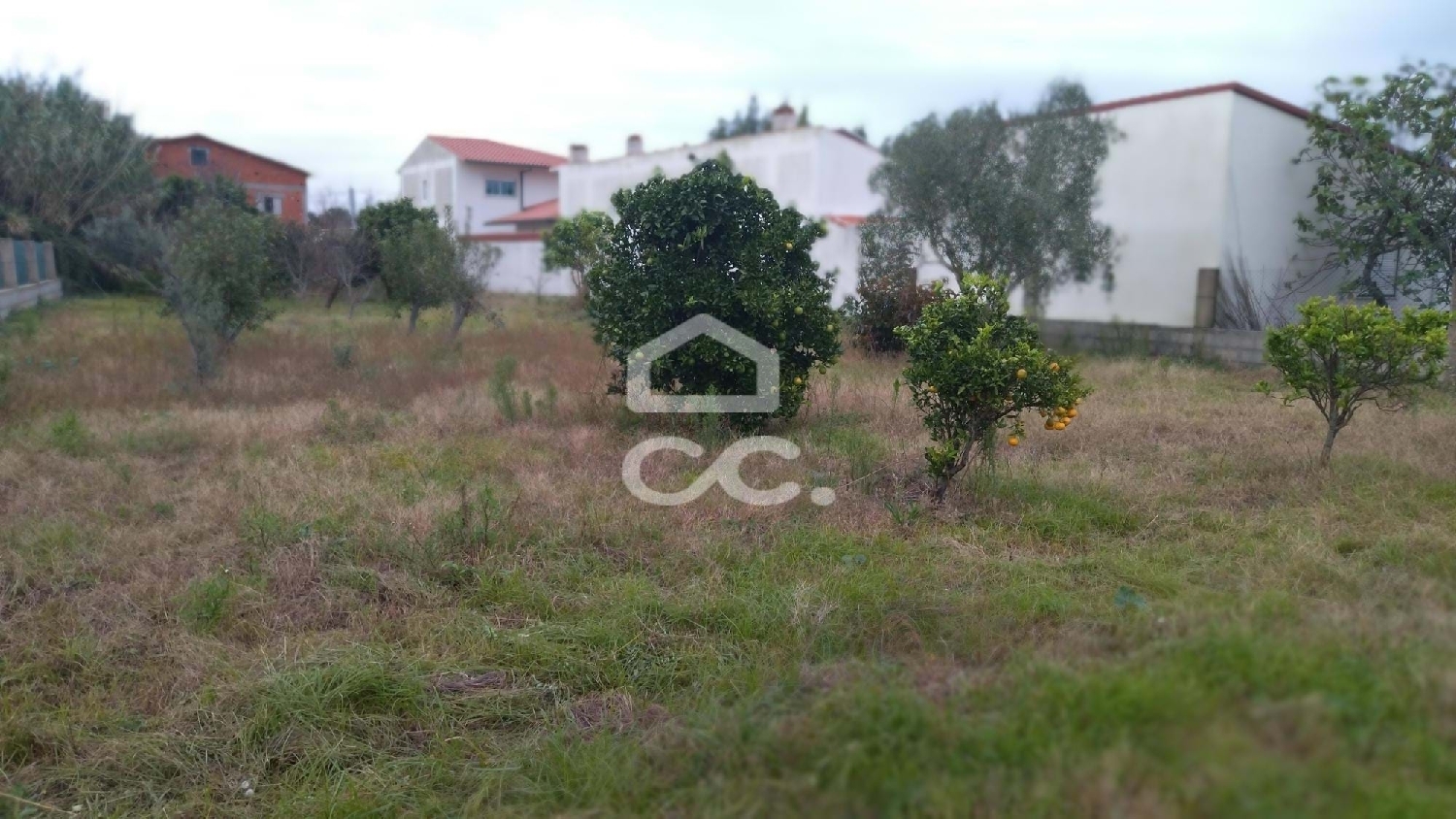  te koop terrein Marinha Grande Marinha Grande 3