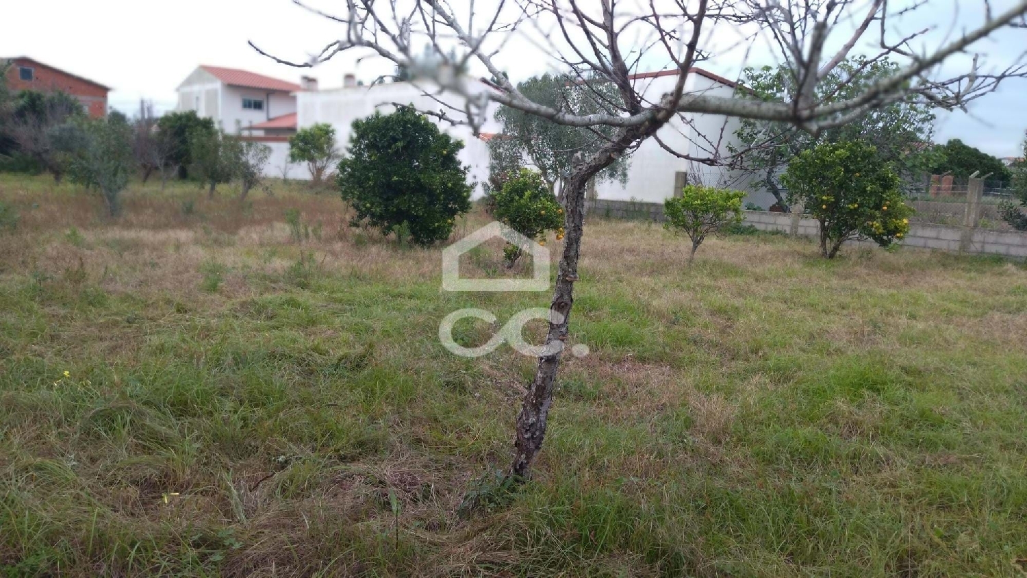  te koop terrein Marinha Grande Marinha Grande 5