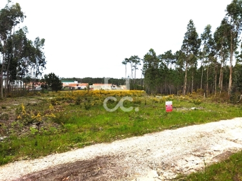 Marinha Grande Marinha Grande terrein foto 330705