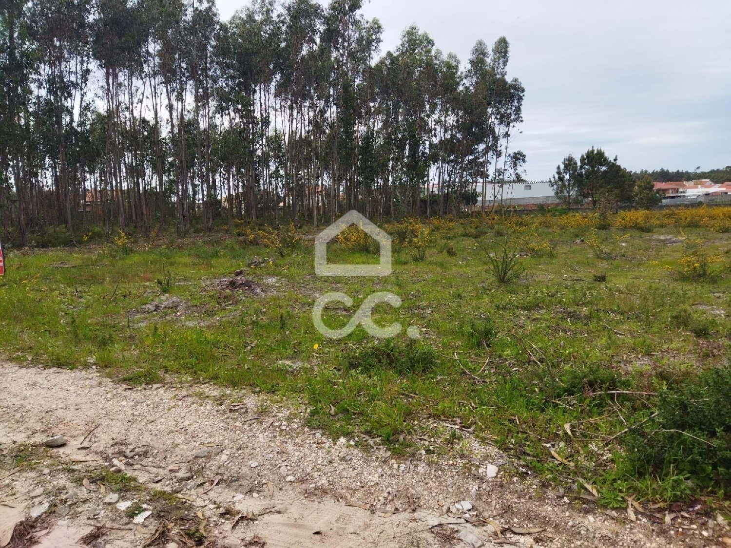  te koop terrein Marinha Grande Marinha Grande 4