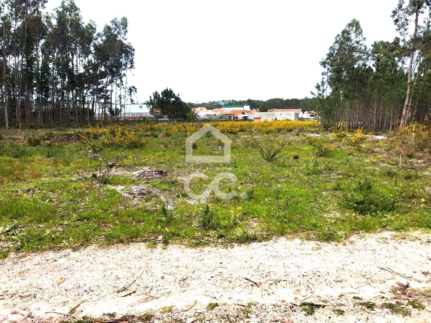  te koop terrein Marinha Grande Marinha Grande 5