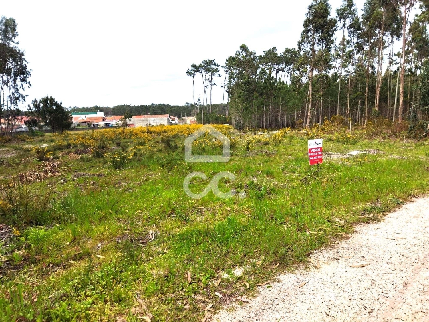  te koop terrein Marinha Grande Marinha Grande 6