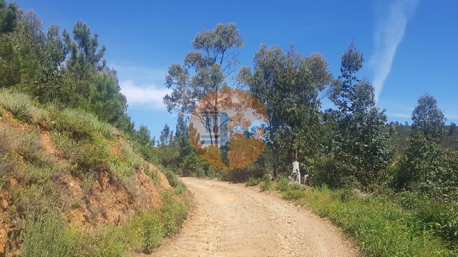  à venda terreno Marmelete Monchique 8