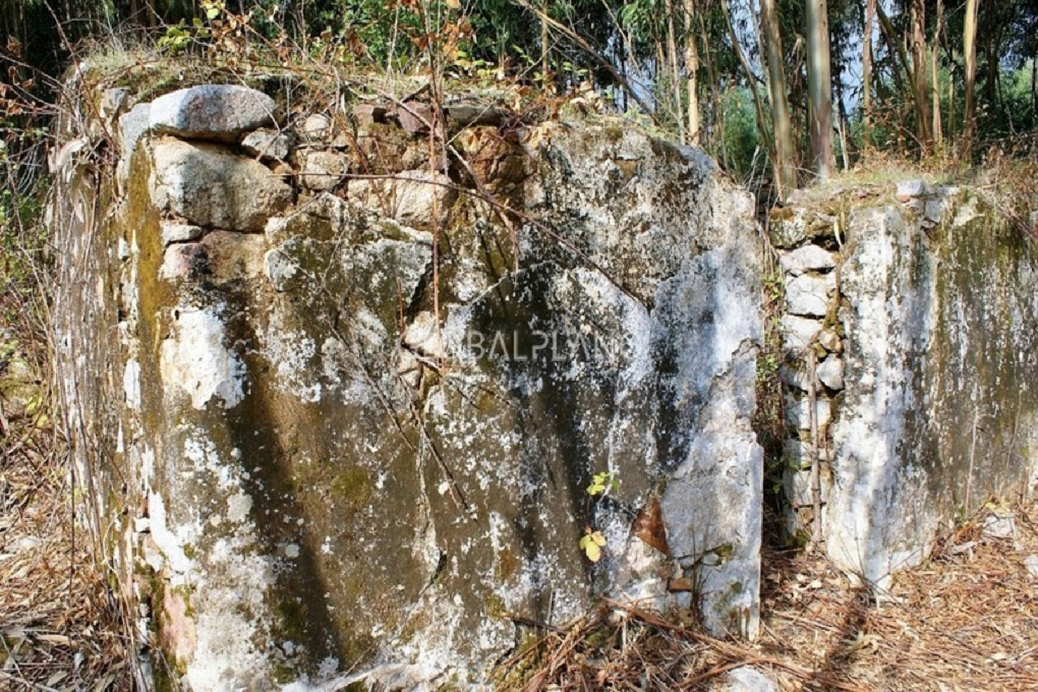 à vendre terrain Marmelete Monchique 3