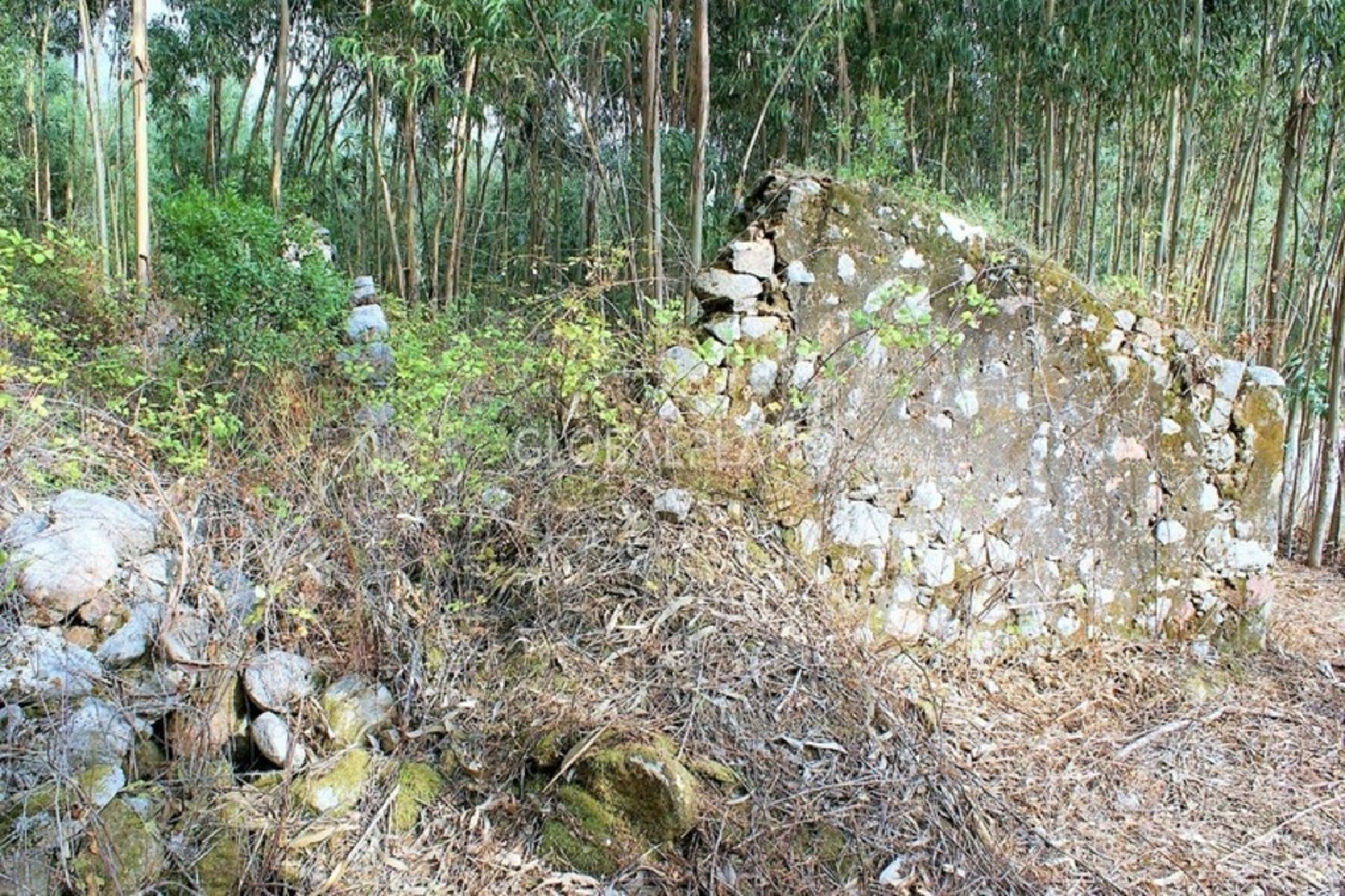  à vendre terrain Marmelete Monchique 4