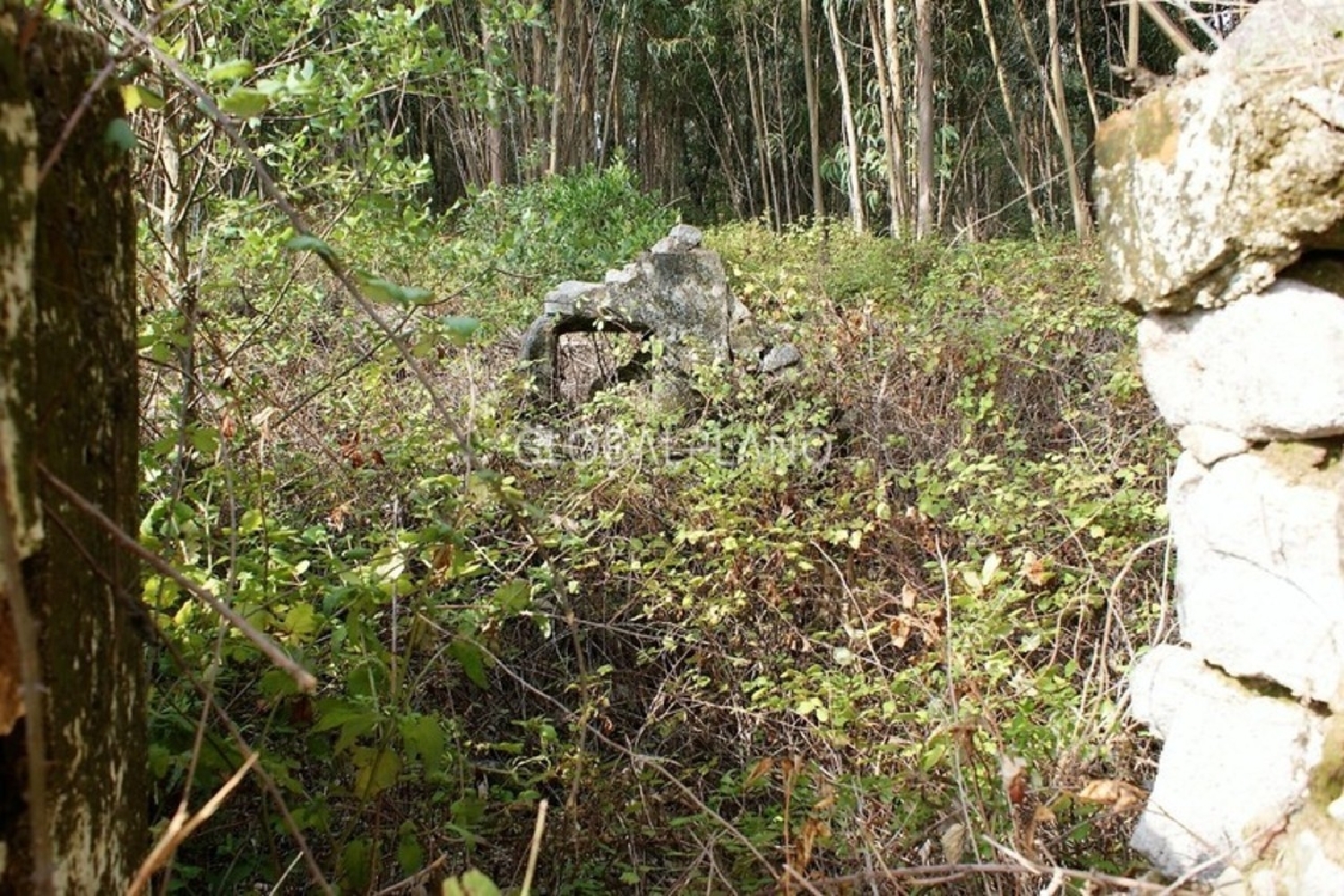  à vendre terrain Marmelete Monchique 5