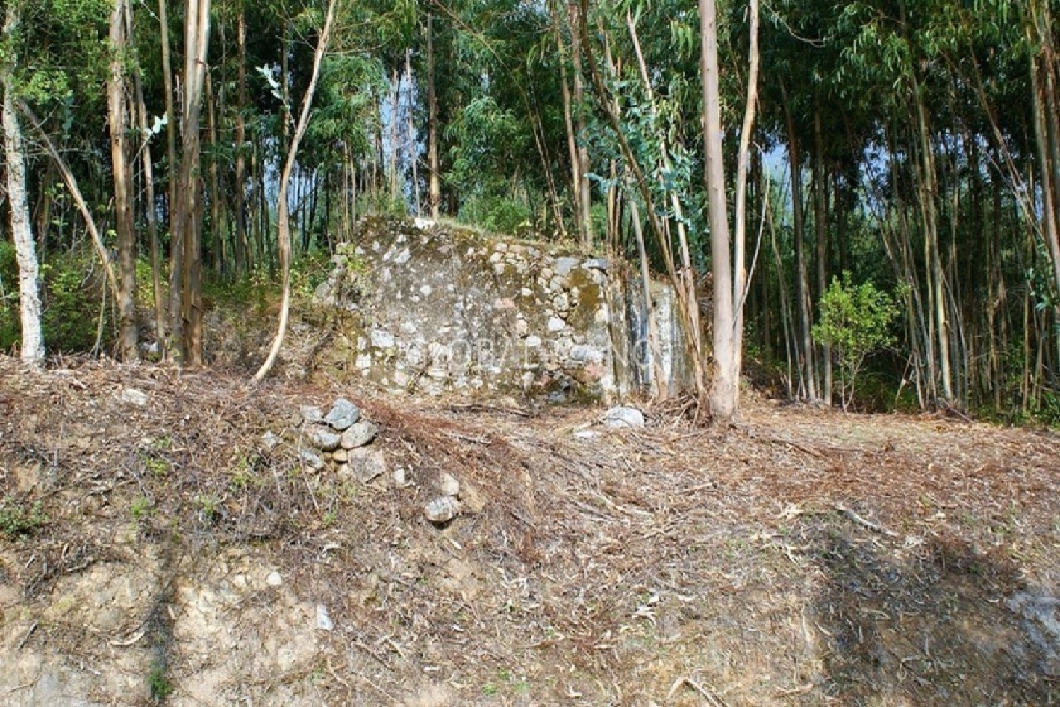  à vendre terrain Marmelete Monchique 7