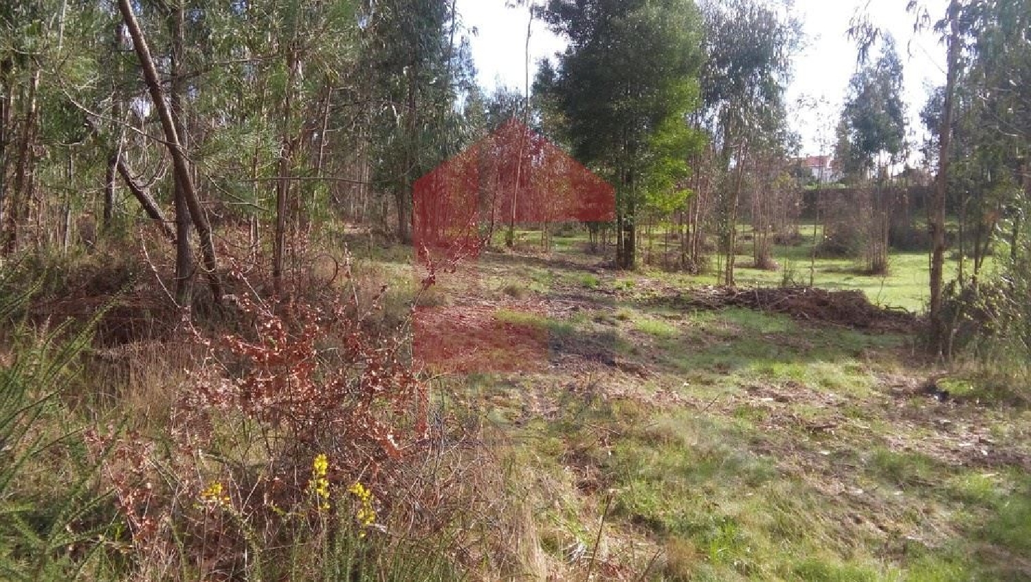à venda terreno Marrancos Vila Verde 3