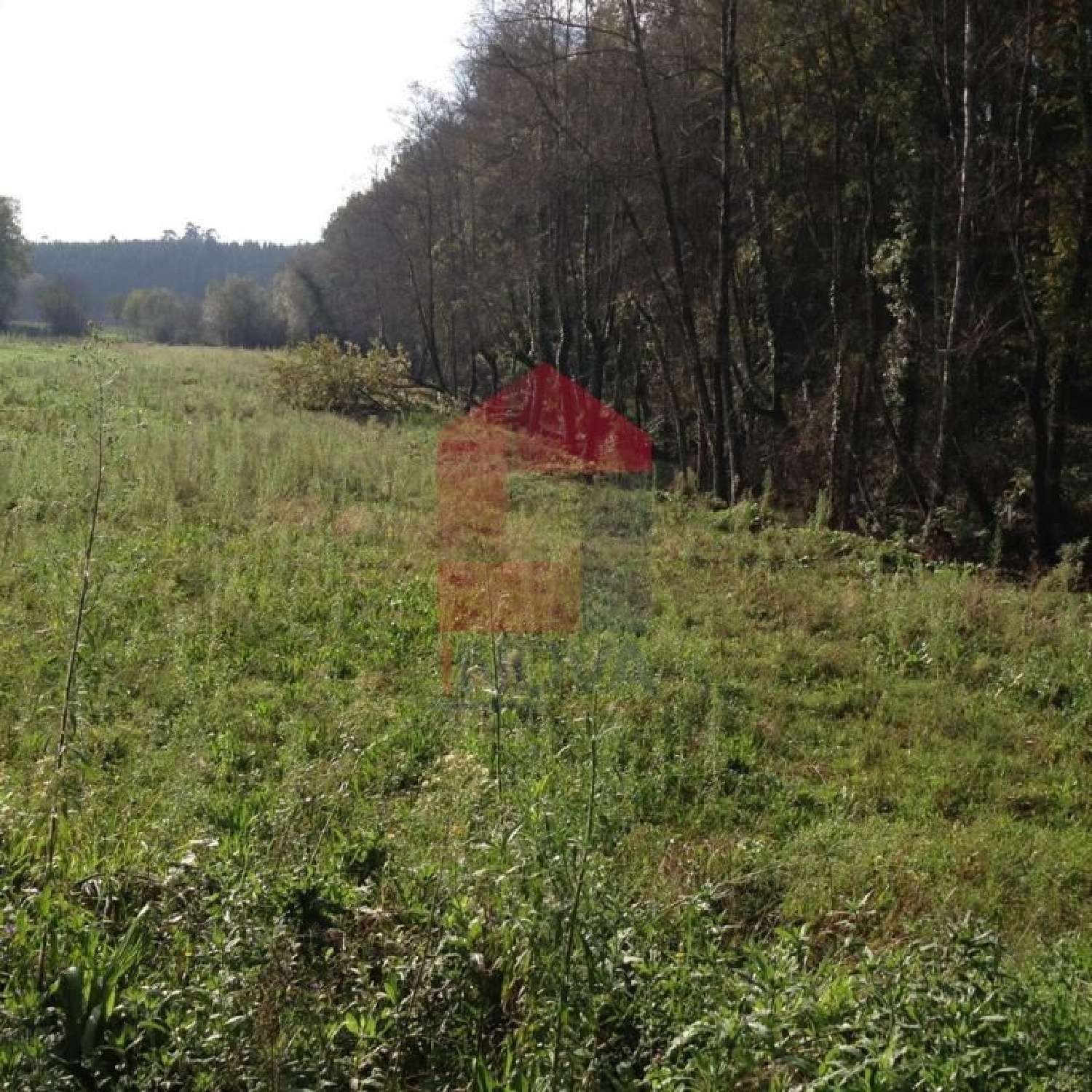  kaufen Grundstück Marrancos Vila Verde 1