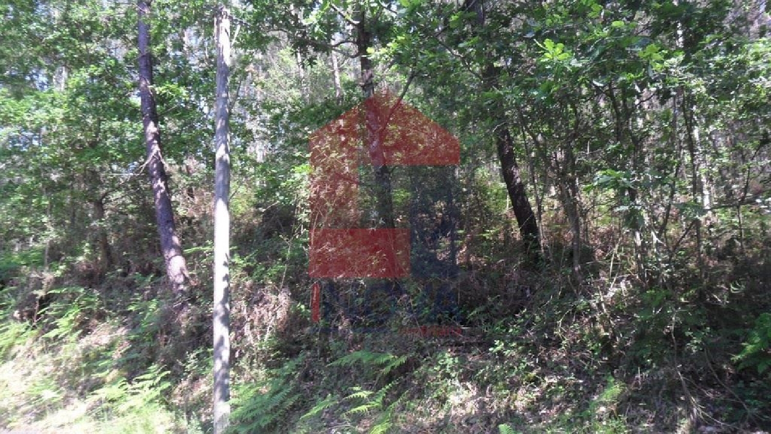 te koop terrein Marrancos Vila Verde 3