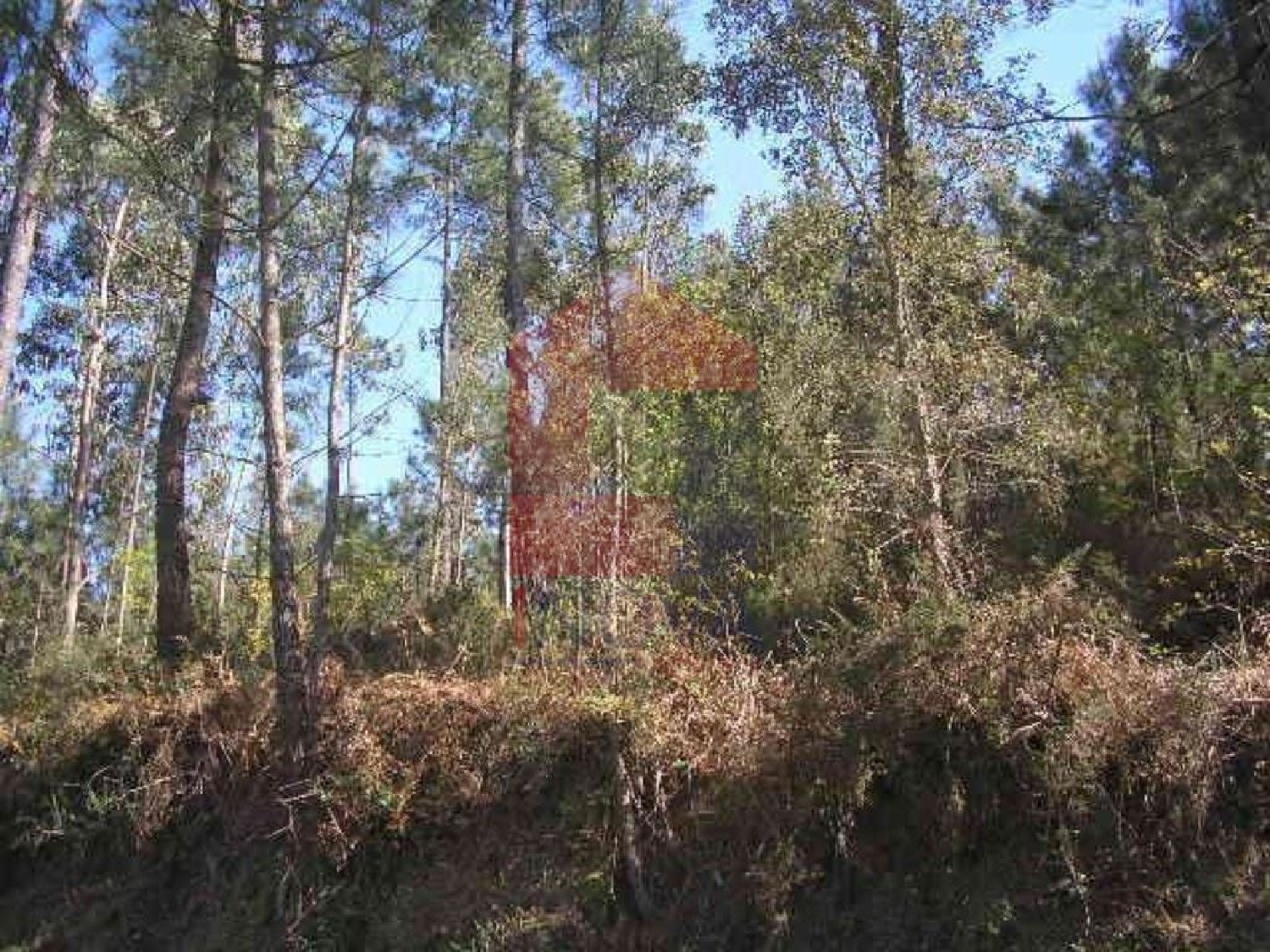 for sale terrain Marrancos Vila Verde 2