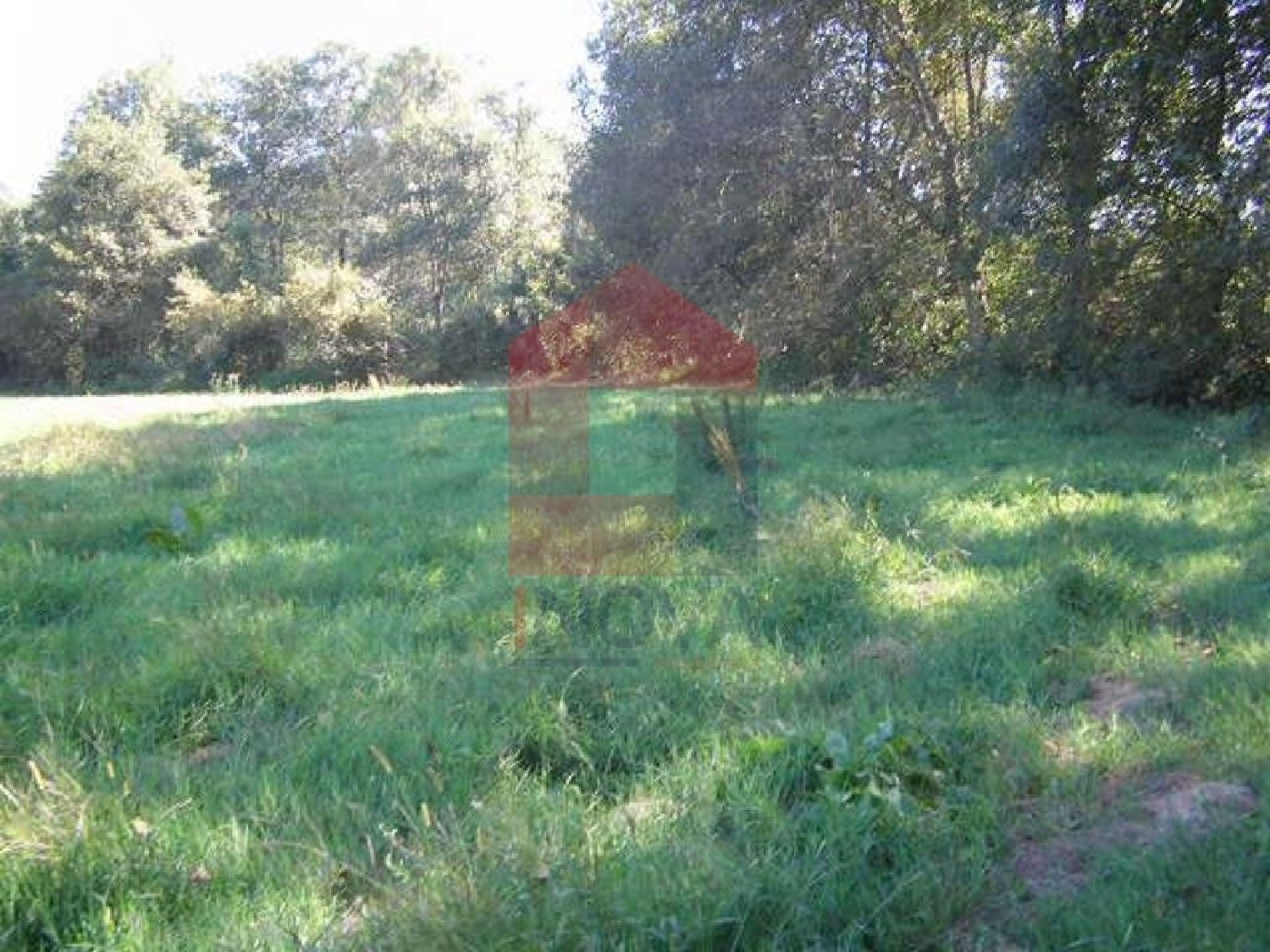 for sale terrain Marrancos Vila Verde 3