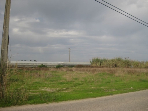 Matacães Torres Vedras 土地 foto 319242