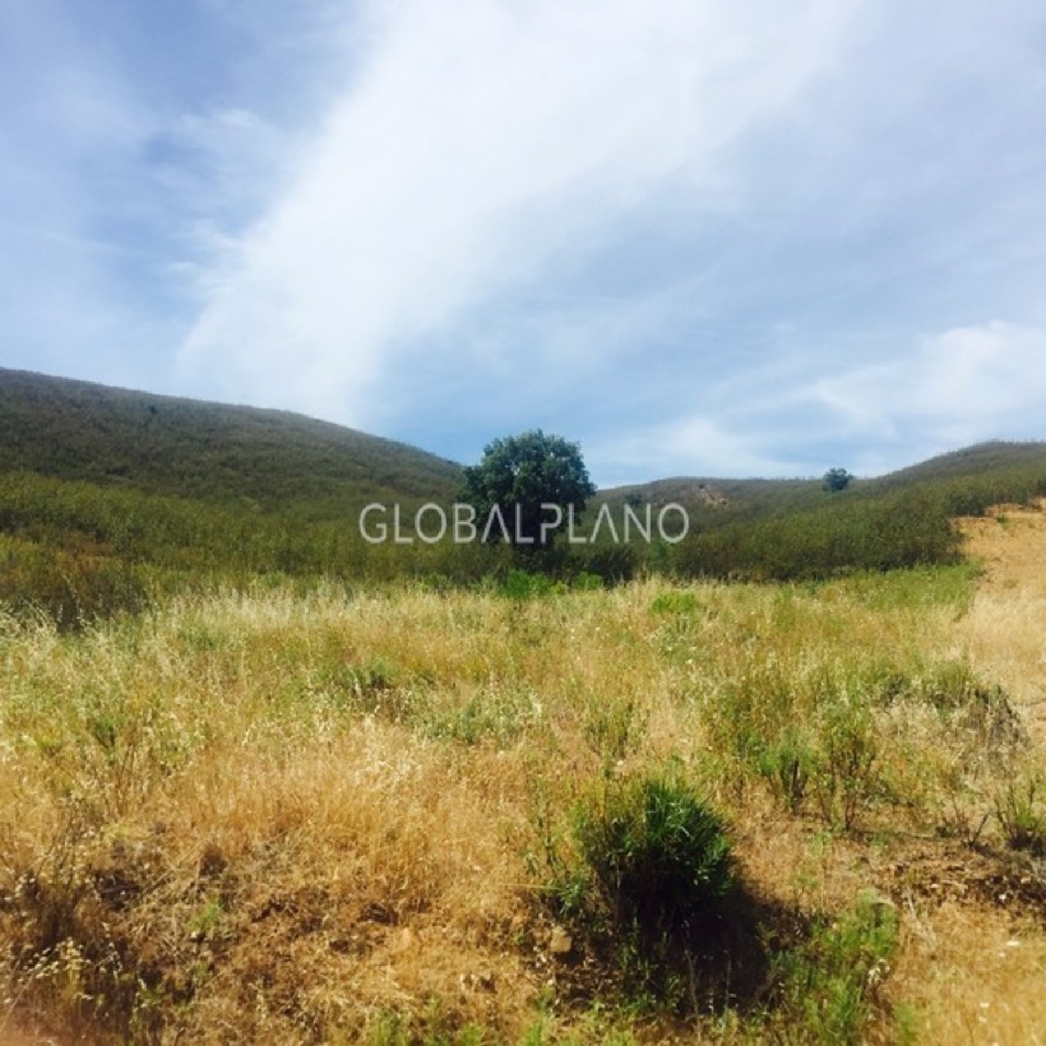  à vendre terrain Mexilhoeira Grande Portimão 1