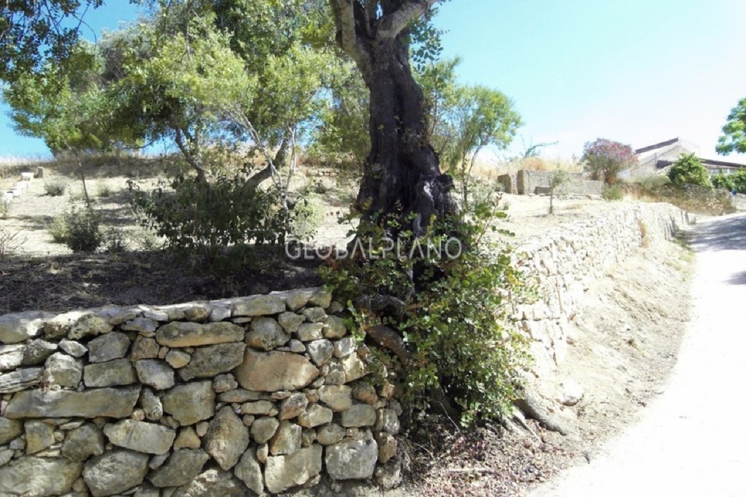  à vendre terrain Mexilhoeira Grande Portimão 6