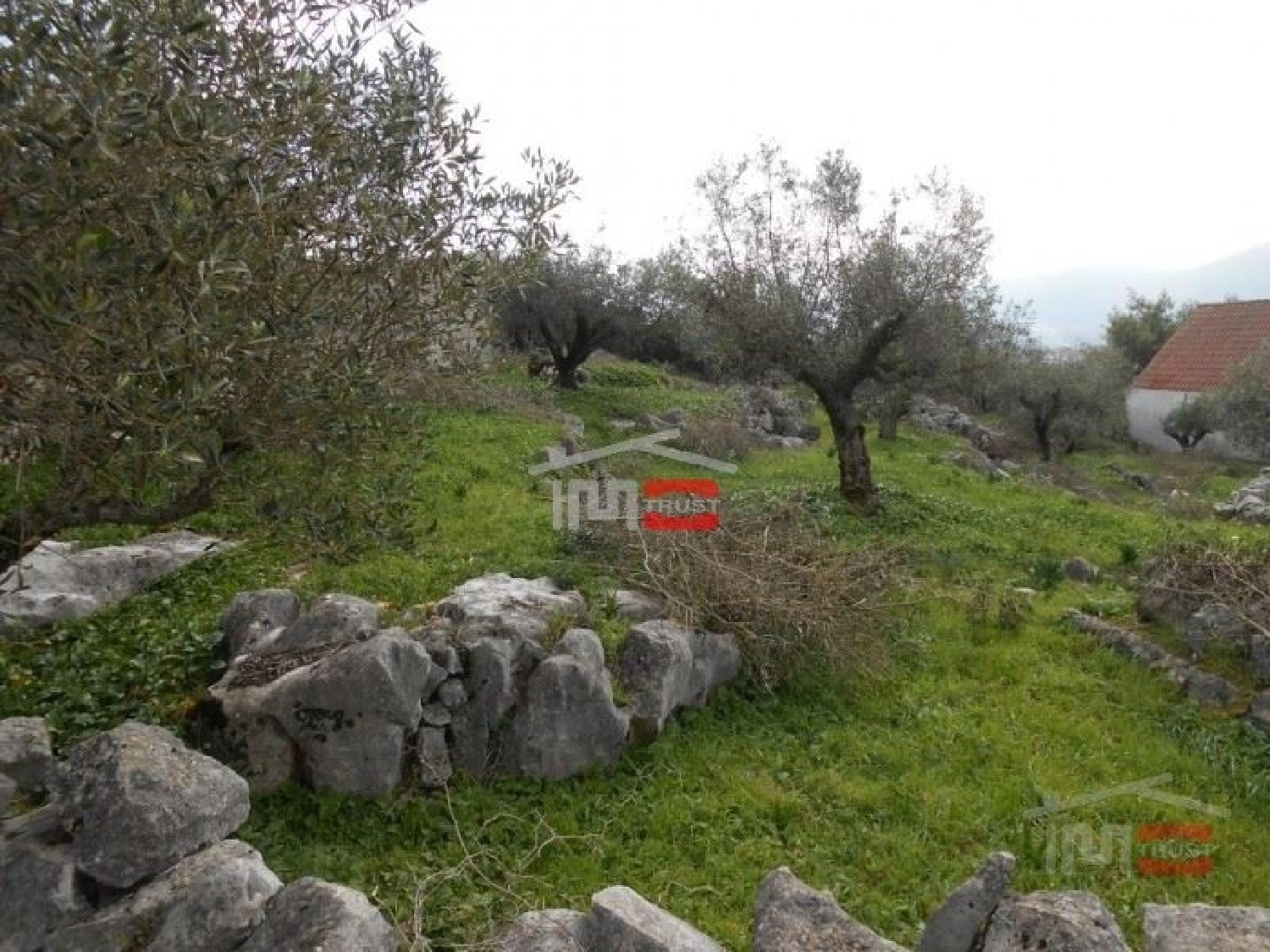  te koop terrein Mira de Aire Porto De Mós 1