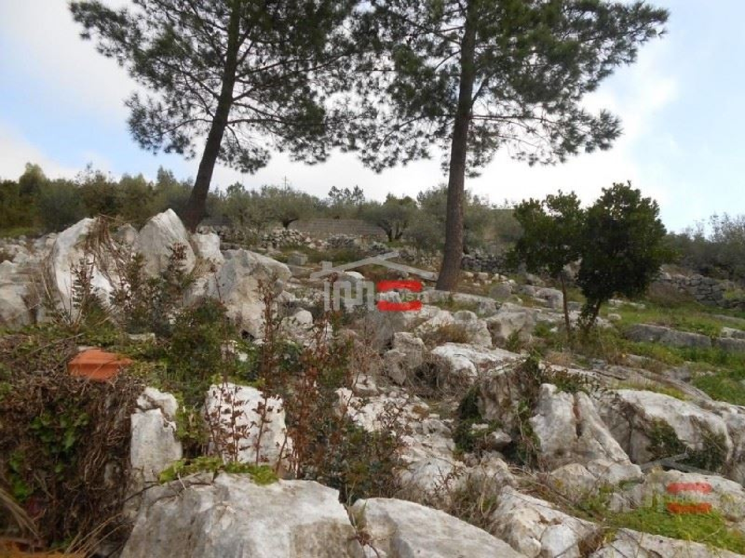  te koop terrein Mira de Aire Porto De Mós 3