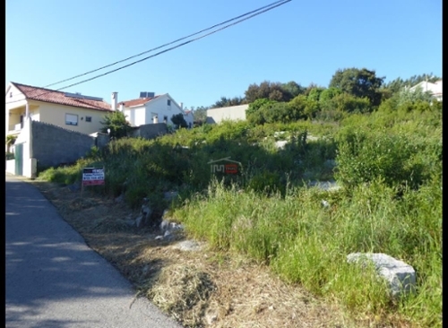 Mira de Aire Porto De Mós terrein foto 326631