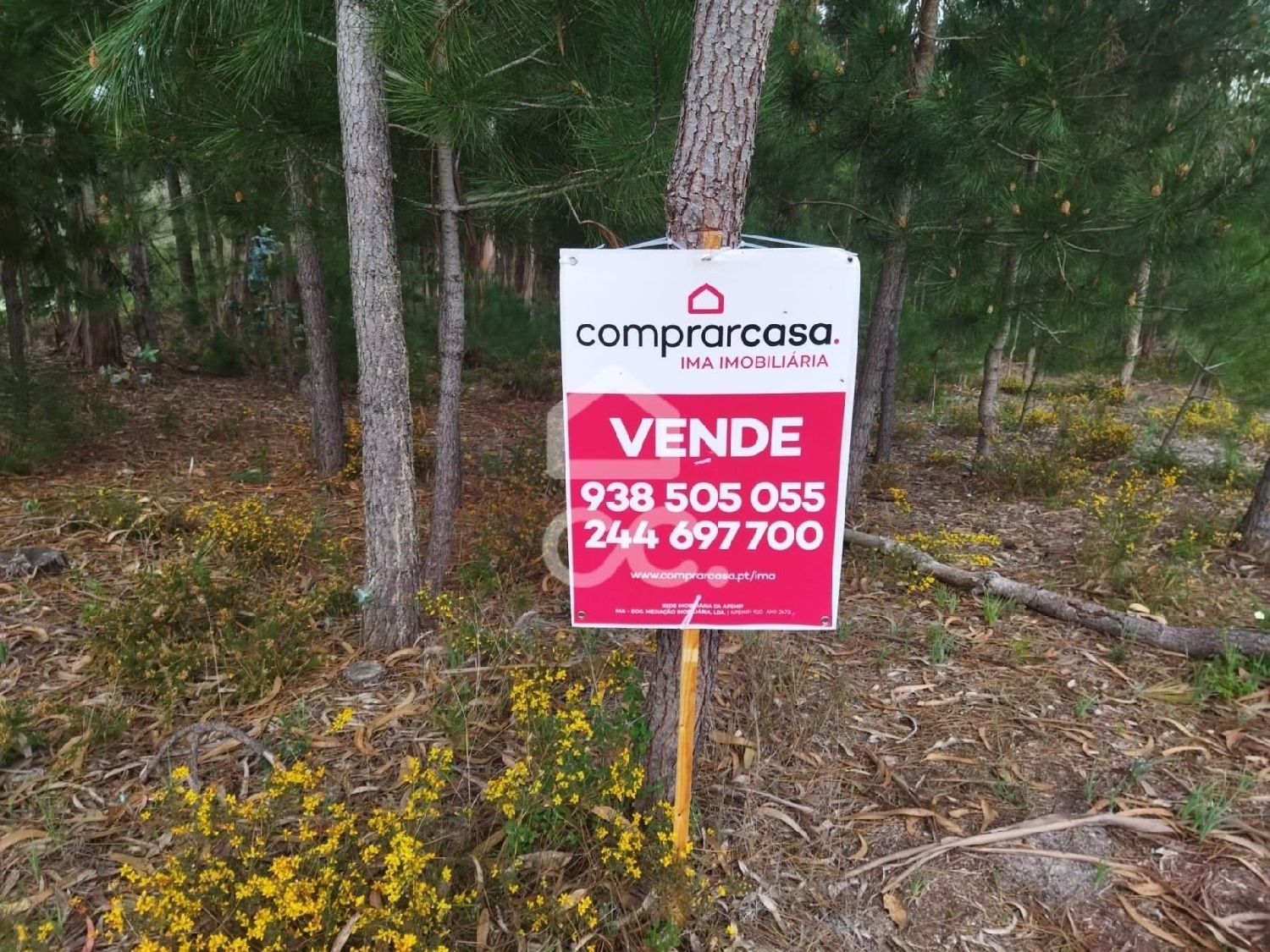  te koop terrein Mó Ansião 3