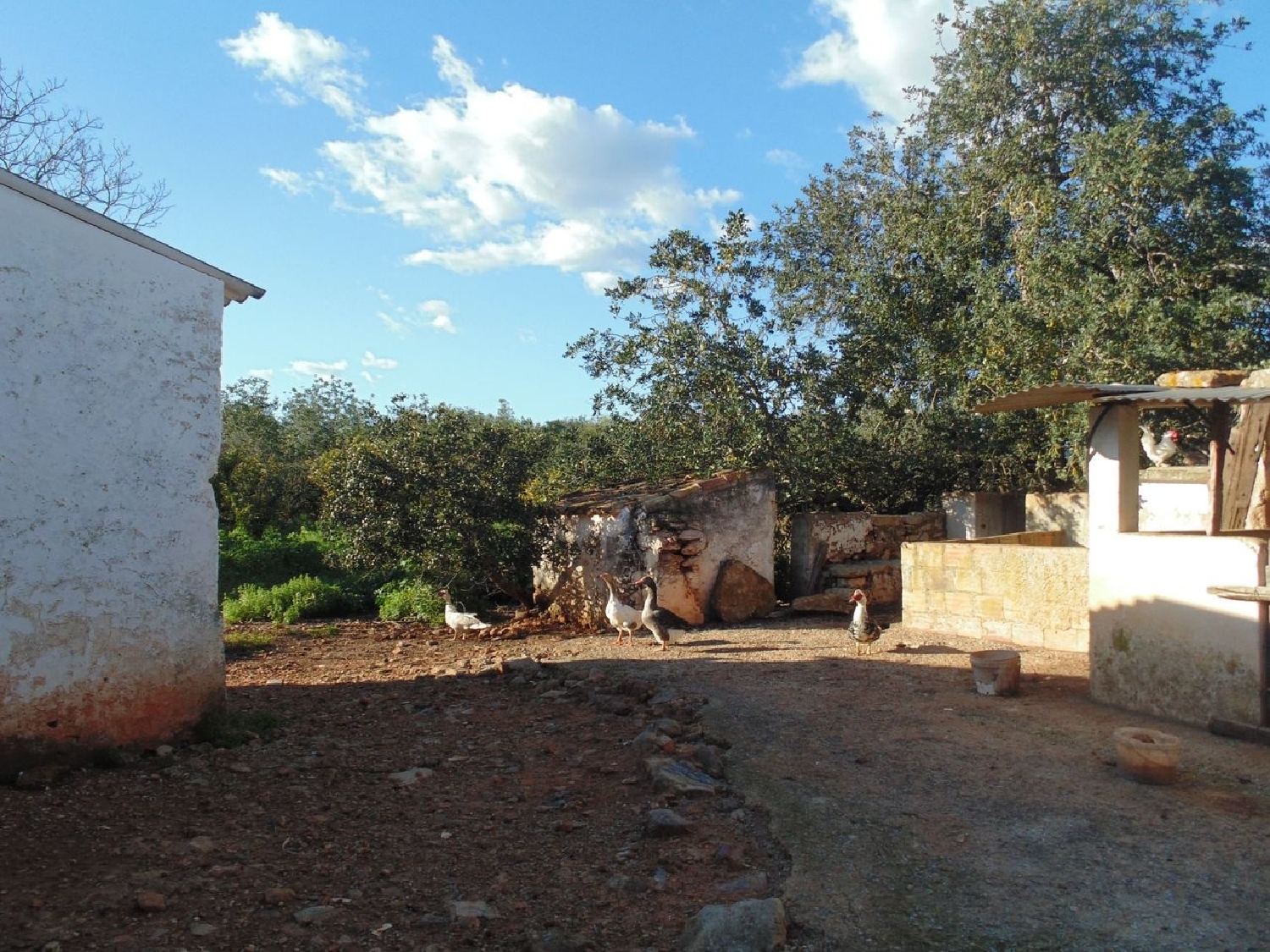  te koop terrein Moncarapacho Olhão 1
