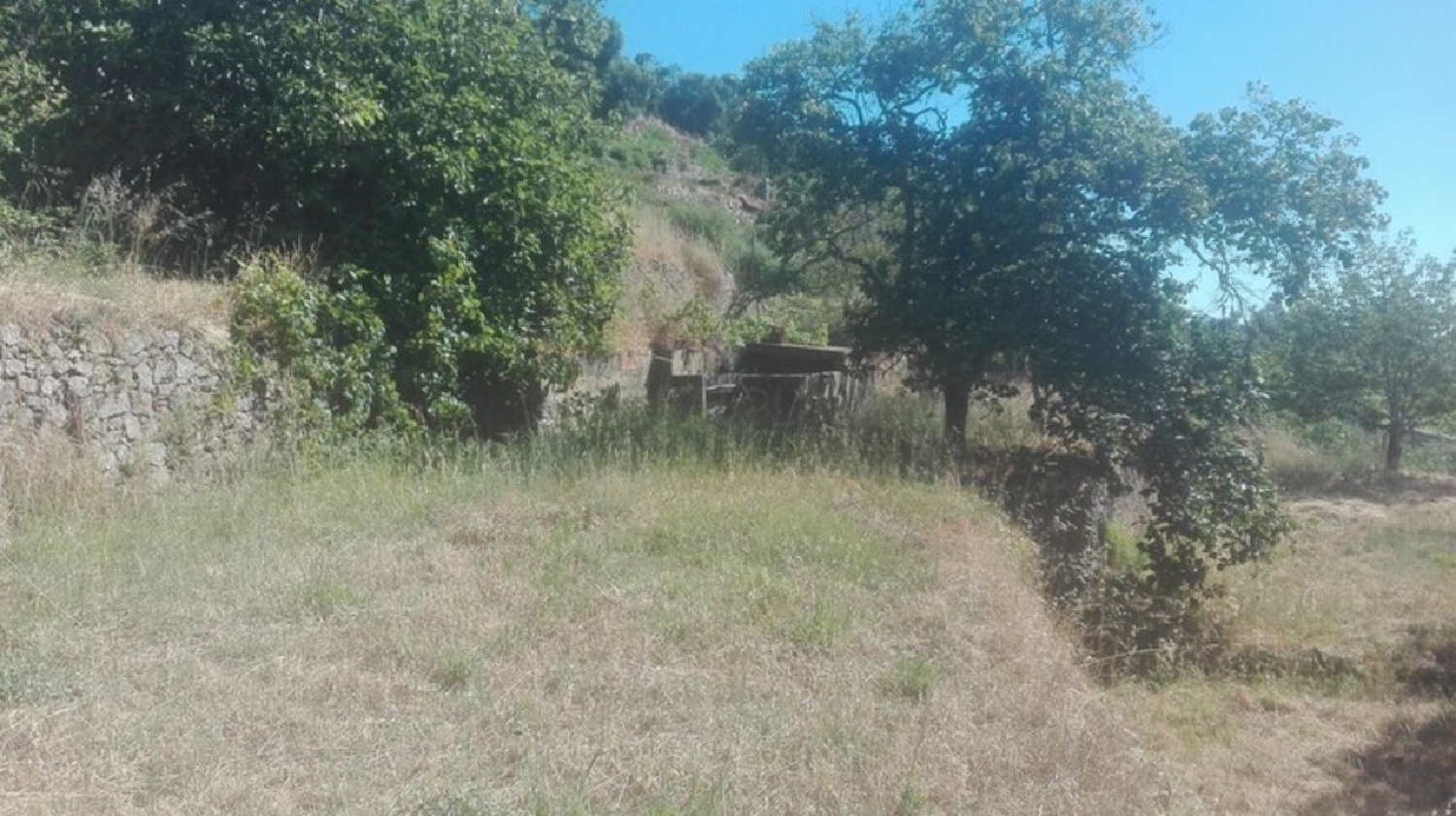  te koop terrein Monchique Santiago Do Cacém 4