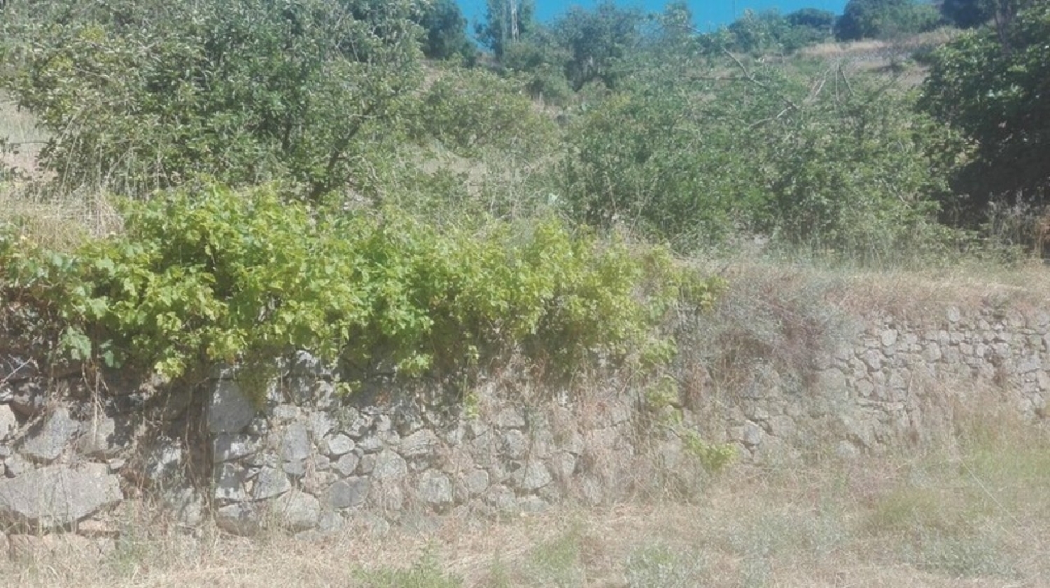 te koop terrein Monchique Santiago Do Cacém 6