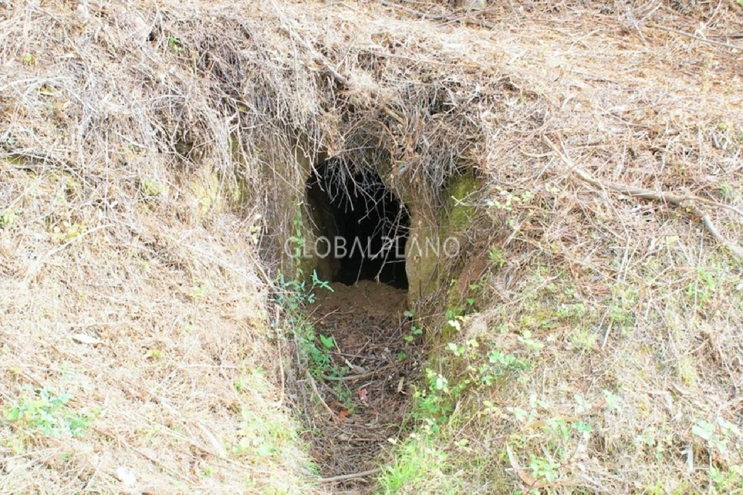  te koop terrein Monchique Santiago Do Cacém 3