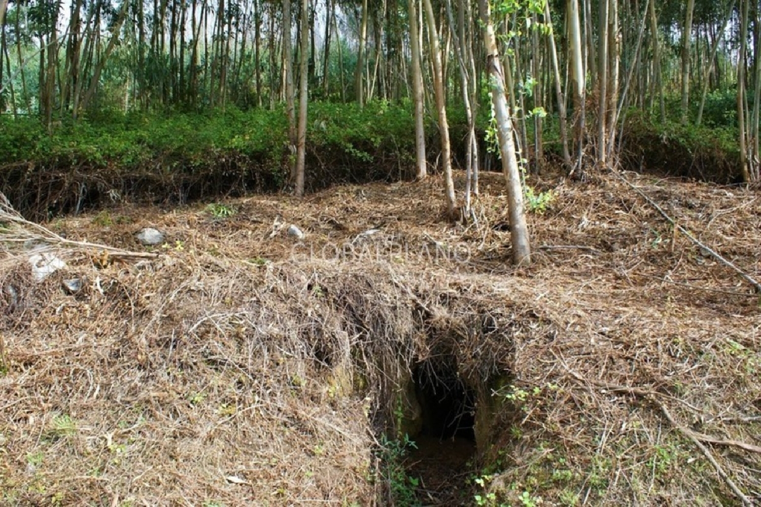  te koop terrein Monchique Santiago Do Cacém 4