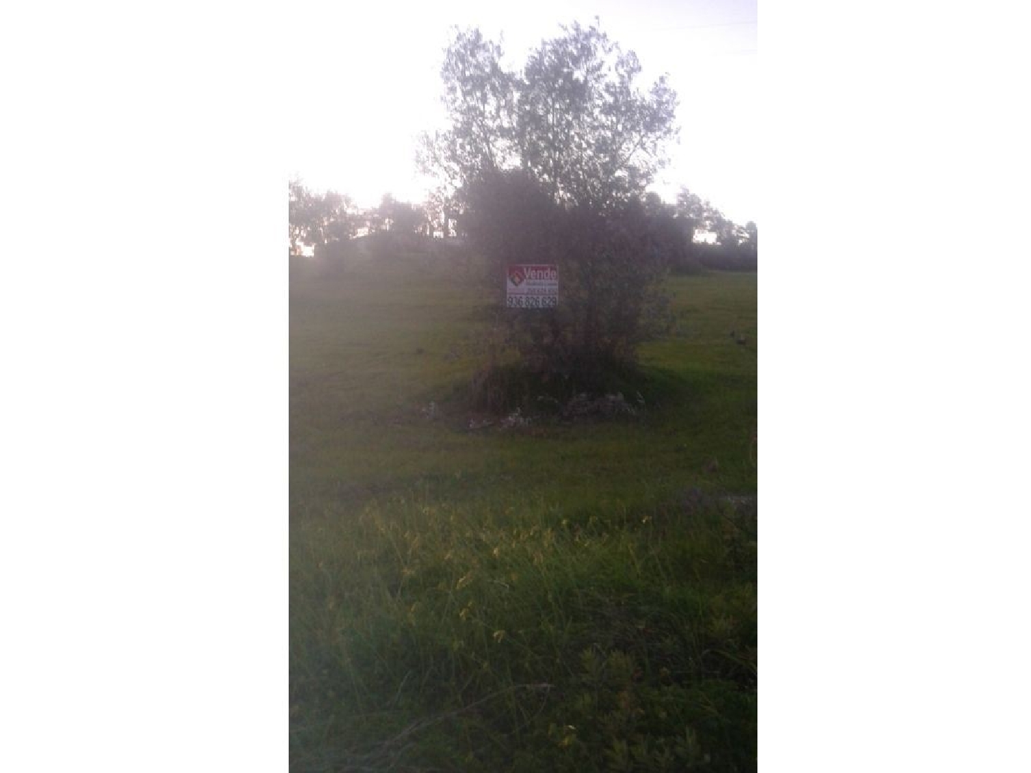  te koop terrein Montargil Ponte De Sor 1