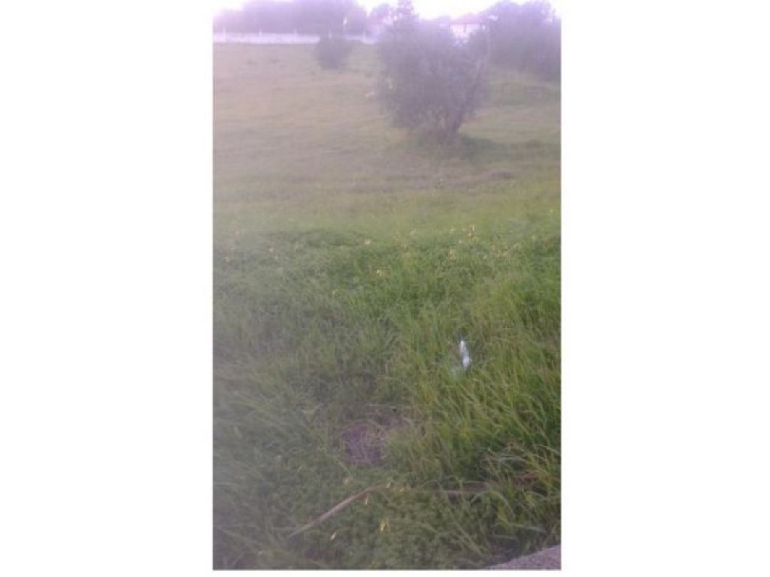  te koop terrein Montargil Ponte De Sor 2