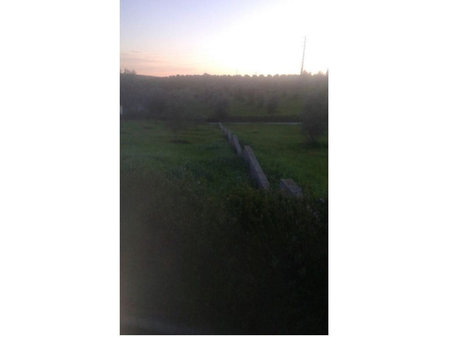  te koop terrein Montargil Ponte De Sor 3
