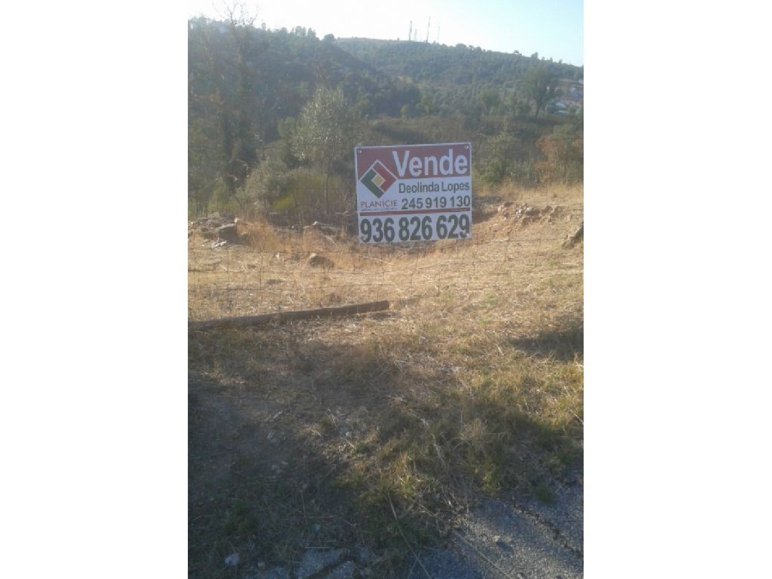 te koop terrein Montargil Ponte De Sor 2
