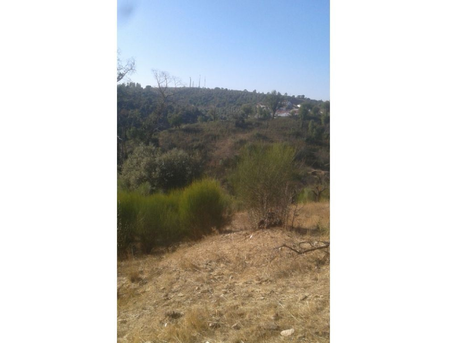  te koop terrein Montargil Ponte De Sor 3