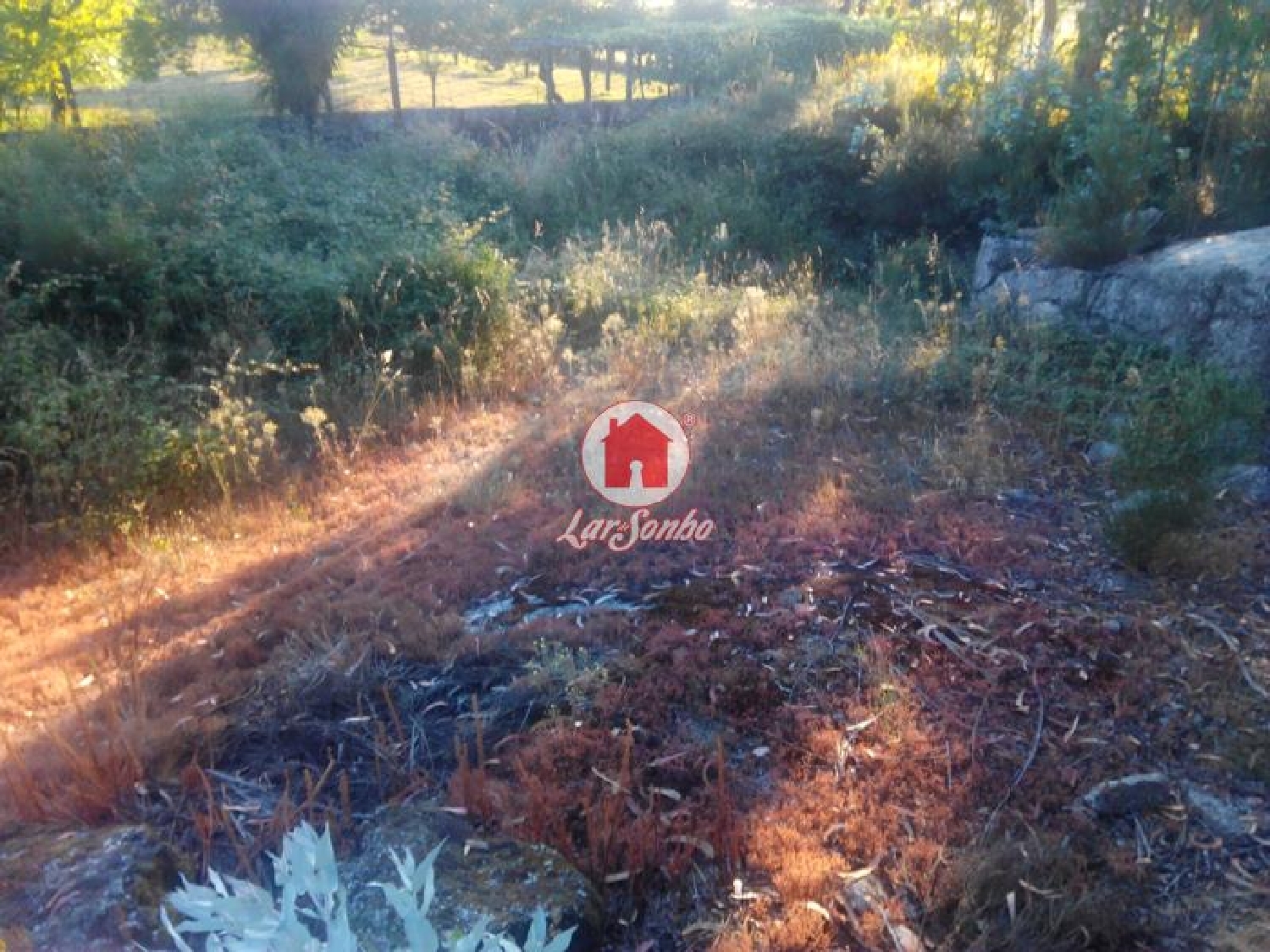  à venda terreno Monte Córdova Santo Tirso 1