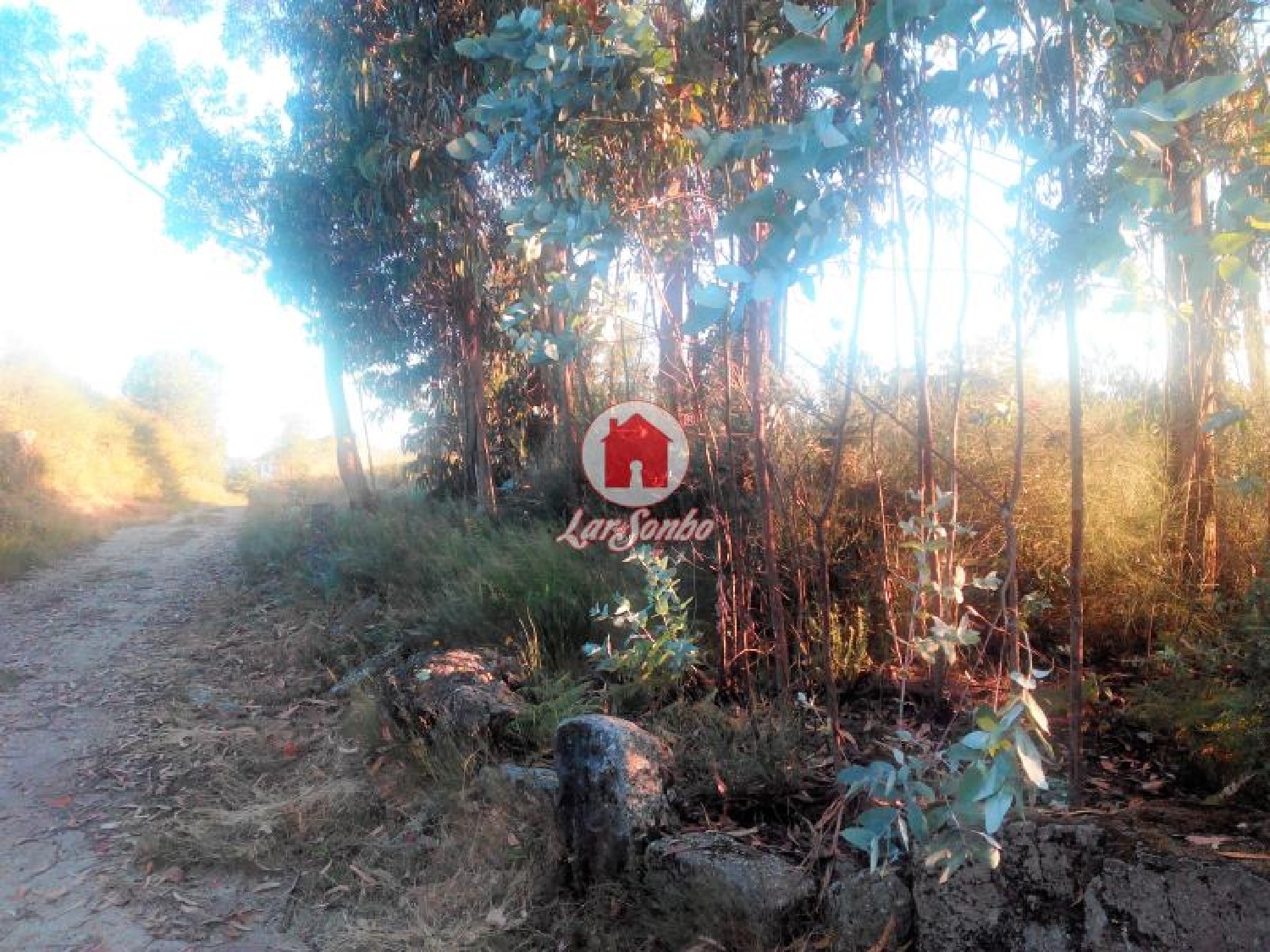 à venda terreno Monte Córdova Santo Tirso 3
