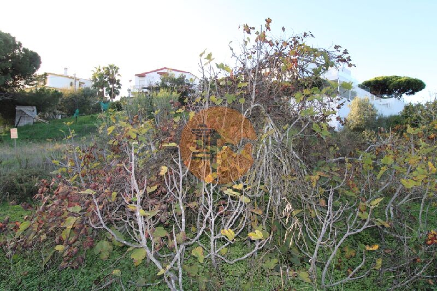  kaufen Grundstück Montenegro Faro 8
