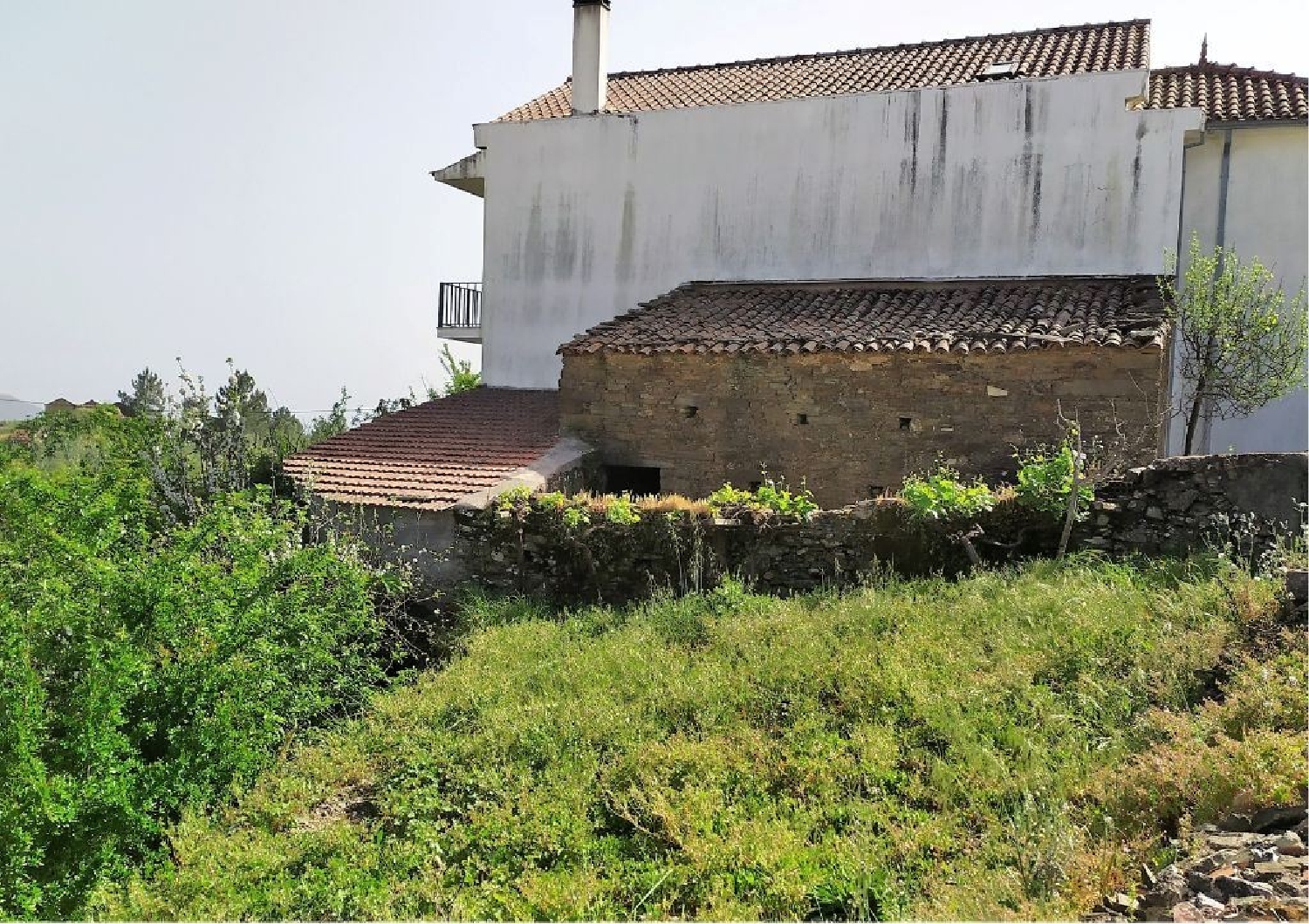 kaufen Grundstück Montes da Senhora Proença-A-Nova 2