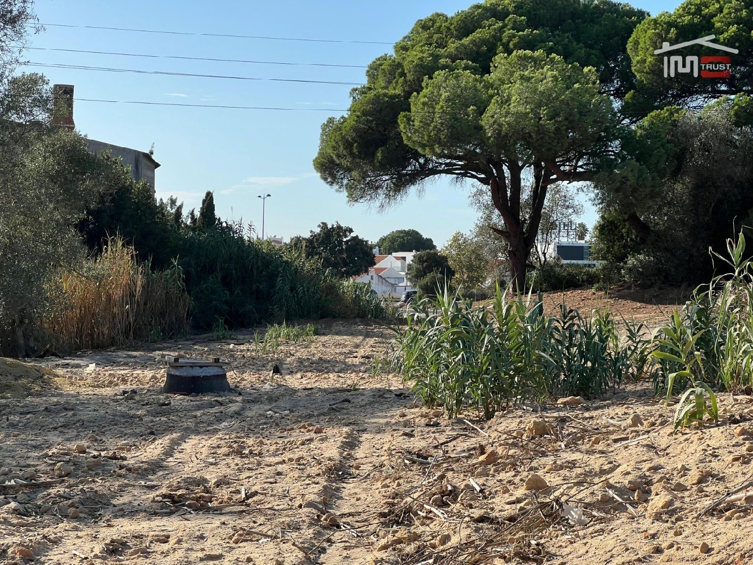 for sale terrain Montijo Montijo 2