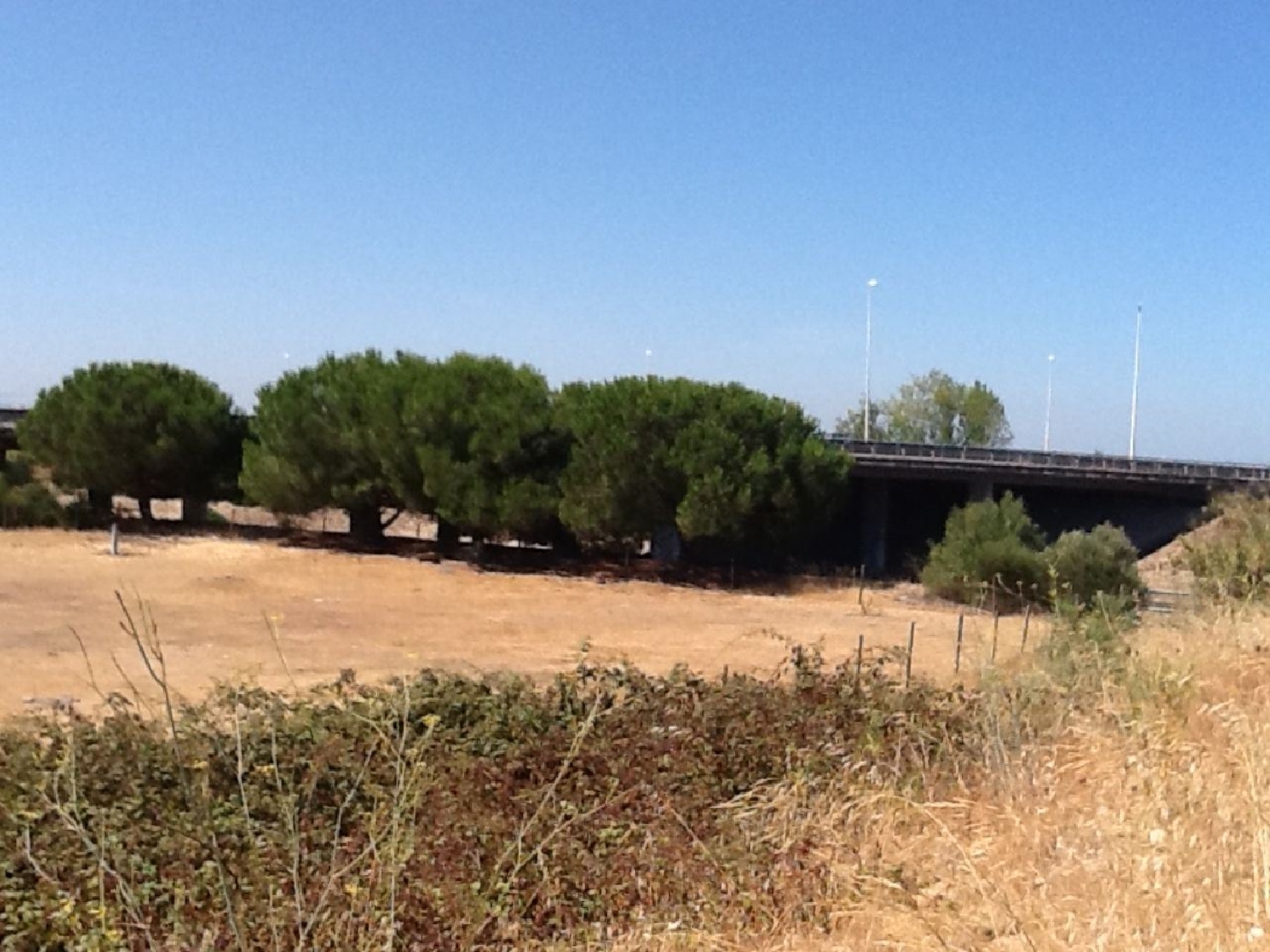  出售 土地 Montijo Montijo 3