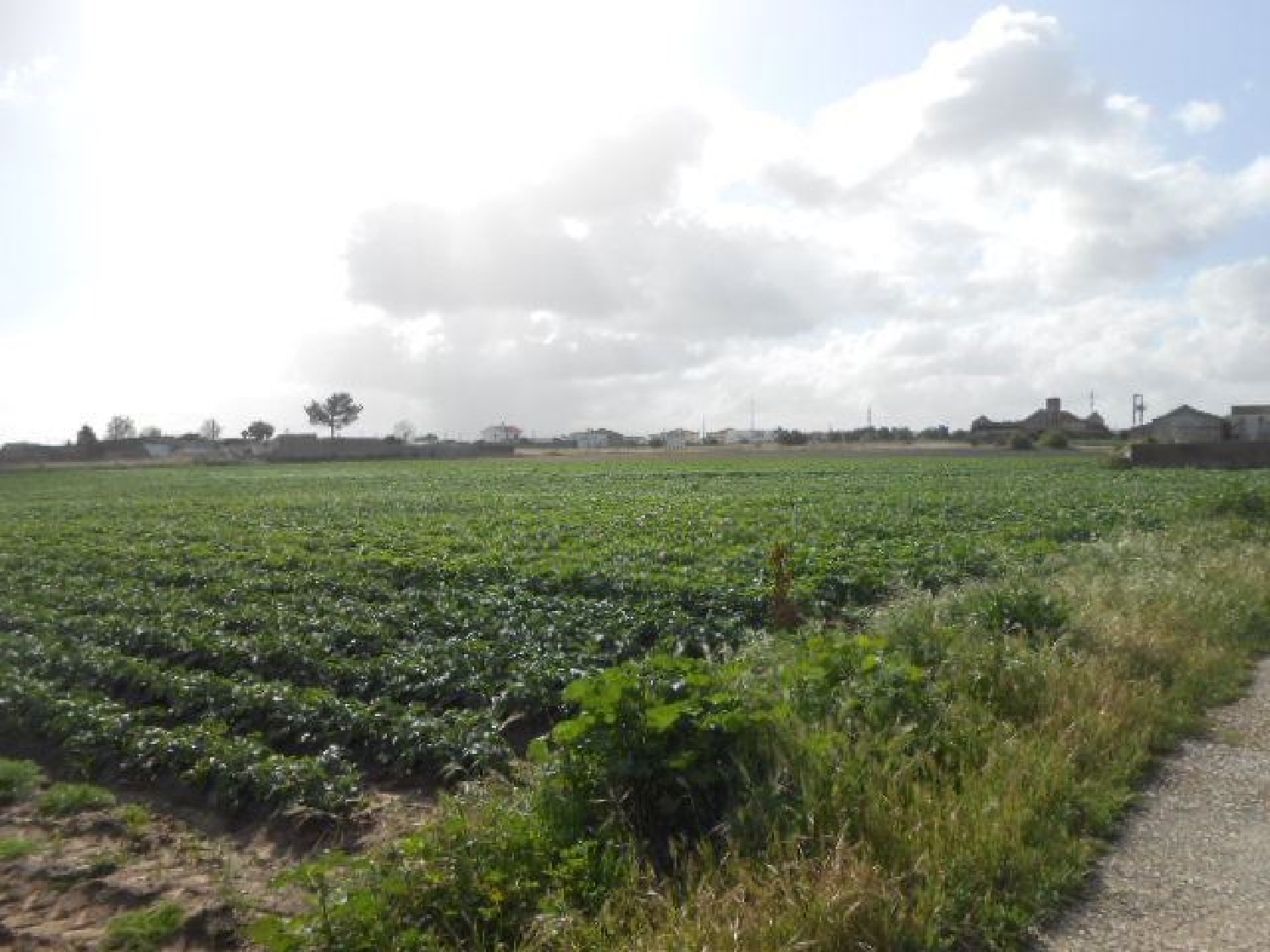 köpa tomt Montijo Montijo 3