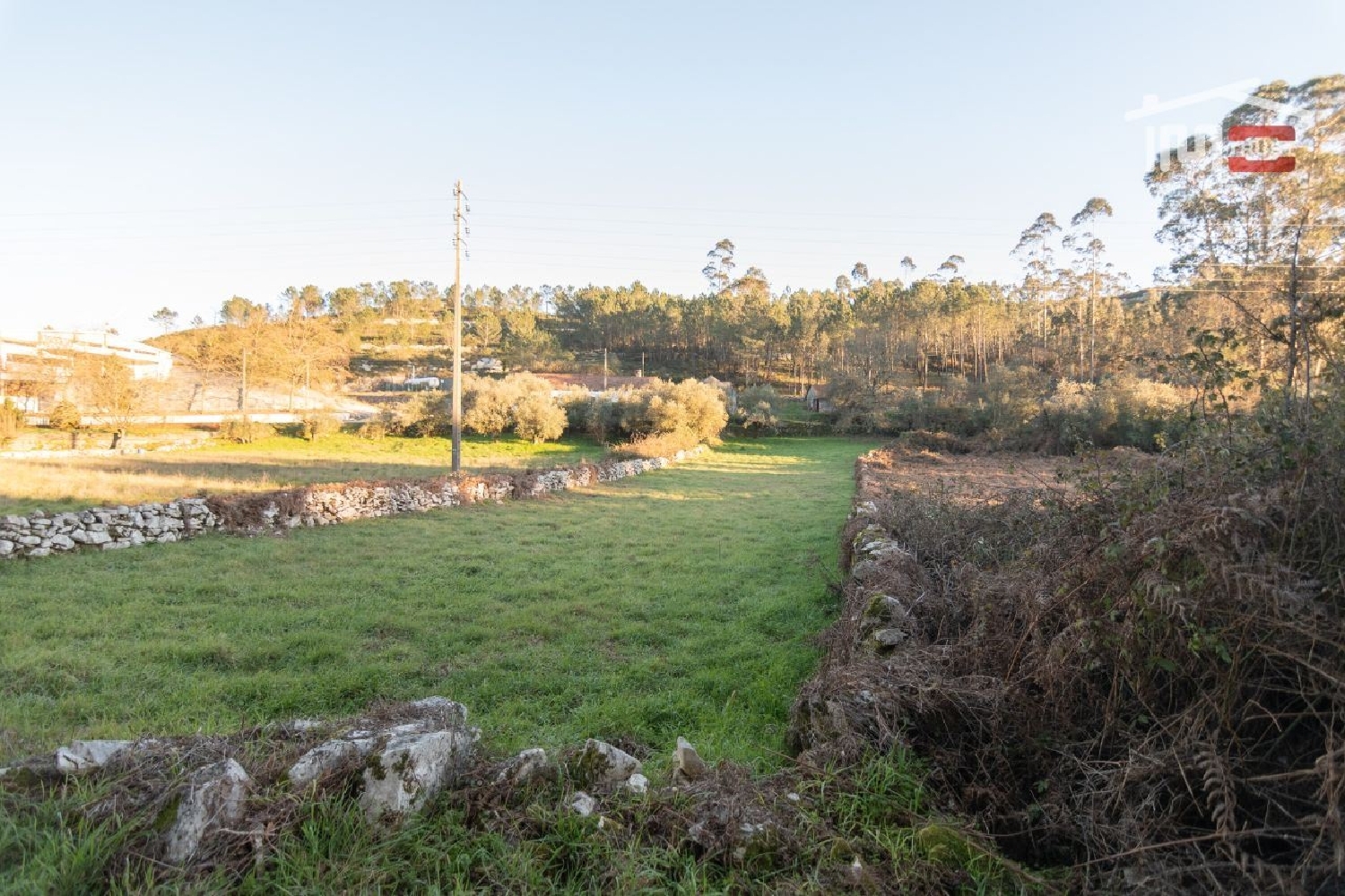 for sale terrain Mouratos Batalha 3