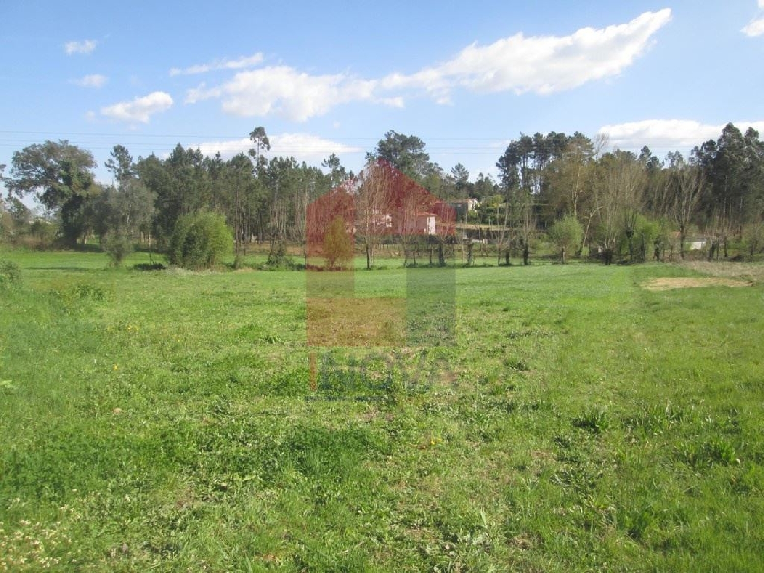  for sale terrain Moure Vila Verde 1