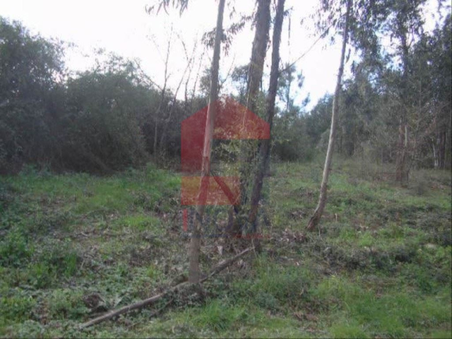 kaufen Grundstück Moure Vila Verde 2