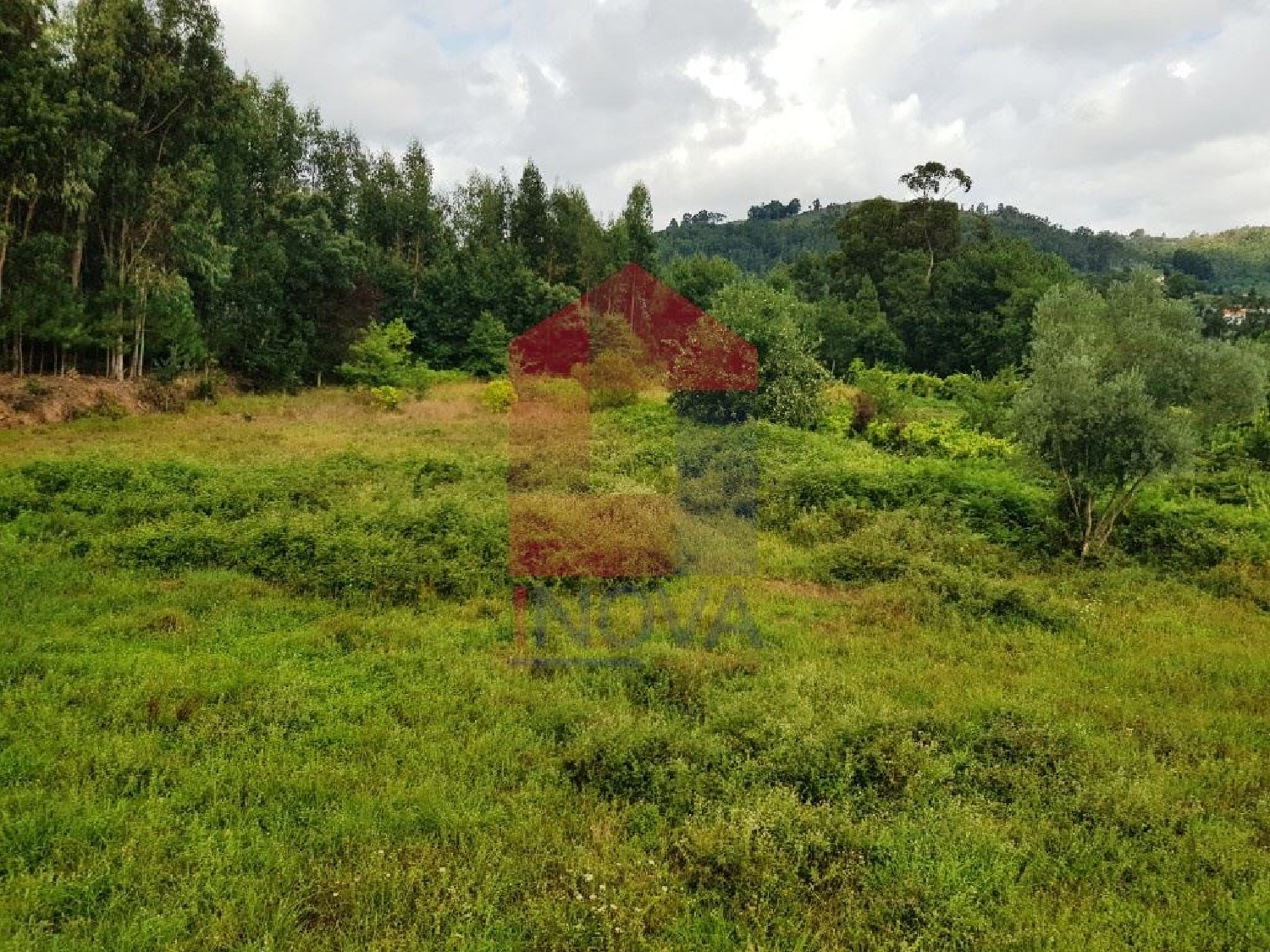 for sale terrain Moure Vila Verde 3
